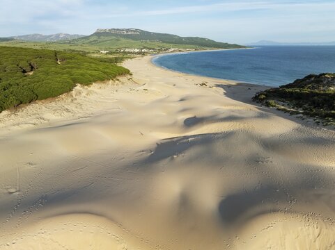The famous dune of Bolonia at the sandy coastline of the Atlantic Ocean and framed by forests of Stone pines (Pinus pinea) . Aerial view. Drone shot. C&aacute;diz province, Andalusia, Spain