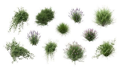 Collection of diverse green garden plants and flowering bushes