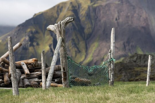 Driftwood fence, Reykjarfj&ouml;r&eth;ur, Strandir, &Aacute;rnes, Westfjords, Iceland