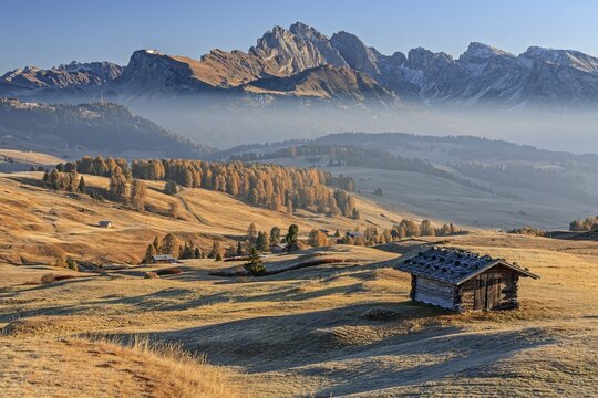 Small hut on alp in front of mountains in the morning light, hoarfrost, autumn, haze, Alpe di Siusi, behind Sass Rigais, Dolomites, South Tyrol, Italy