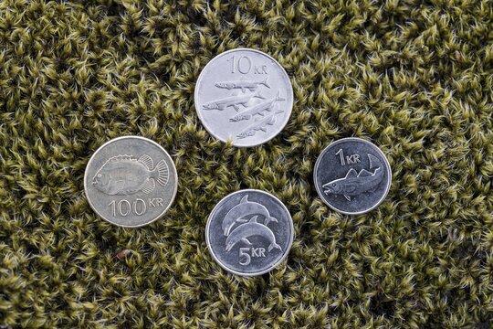 Icelandic crowns, coins on moss, Iceland