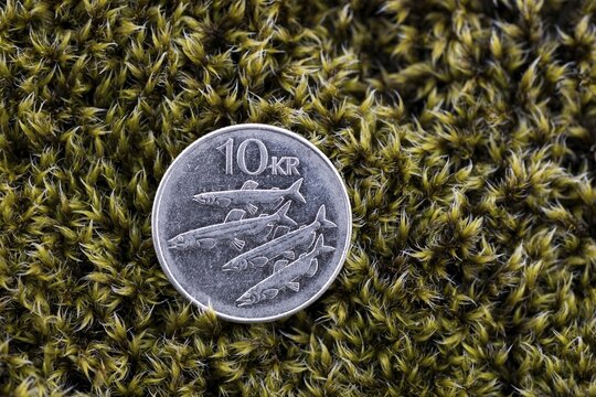 Icelandic 10-crown piece, coin on moss, Iceland
