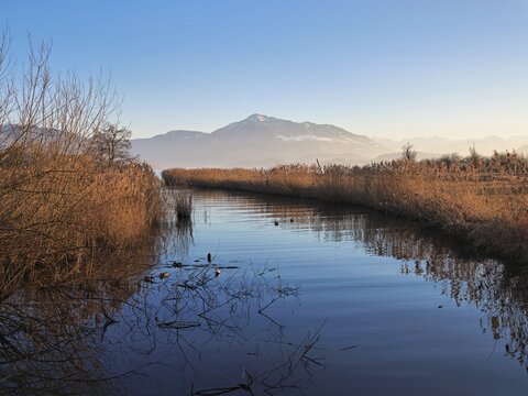 Lorze flows into Lake Zug, Rigi in the background, view of the Alps. Cham, Canton of Zug, Switzerland