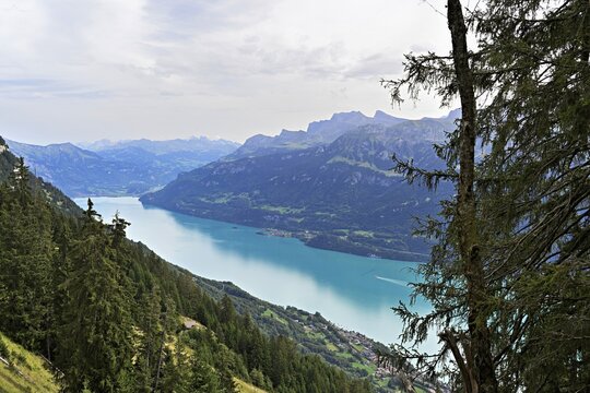 View of Lake Brienz from the Harder Kulm, Interlaken, Canton of Bern, Switzerland