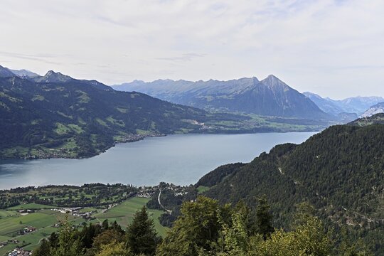 View of Lake Thun from the Harder Kulm, with the Niesen in the background, Interlaken, Canton of Bern, Switzerland