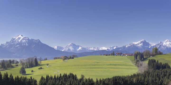 Alpine foothills near Rosshaupten, with Neuschwanstein and the S&auml;uling behind, 2047m, Ostallg&auml;u, Bavaria, Germany
