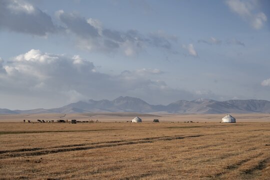 Yurts at Song Kul in autumn, Moldo Too Mountains, Naryn region, Kyrgyzstan