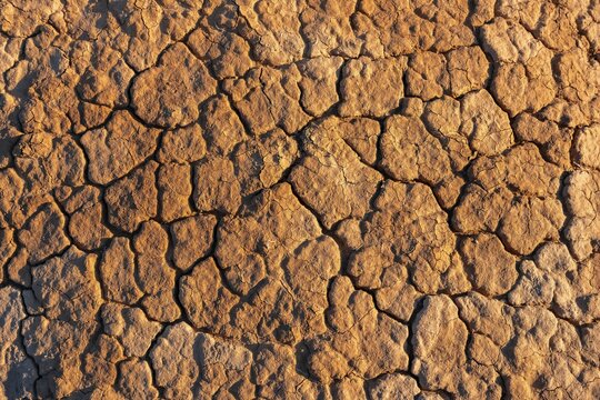 Dried out clay soil with cracks, Badlands, Canyon of the Forgotten Rivers, Issyk Kul, Kyrgyzstan