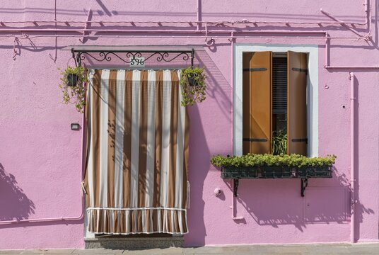 Pink house facade with entrance door and window with flowers, colourful houses on the island of Burano, Venice, Veneto, Italy