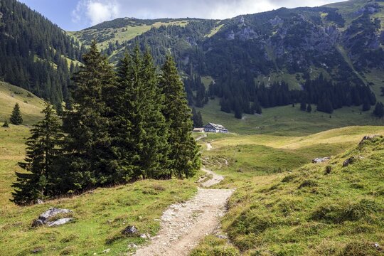 Hiking trail, Jubil&auml;umsweg, behind Willersalpe, near Hinterstein, Bad Hindelang, Oberallg&auml;u, Allg&auml;u, Bavaria, Germany