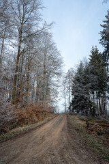 Lonely field path in the forest with hoarfrost on the trees on a cold winter day