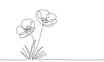 A minimalist single continuous line drawing capturing the grace of two delicate flowers
