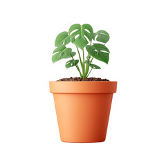 Fototapeta premium Potted monstera plant with vibrant green leaves in terracotta pot, isolated on transparency background, perfect for home decor, indoor gardening, and modern interior design inspiration