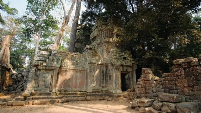 Stone ruins of the ancient khmer temple ta prohm at angkor wat, reclaimed by the cambodian jungle with massive strangler fig trees, Cambodia, Siem Reap. Archeology concept.
