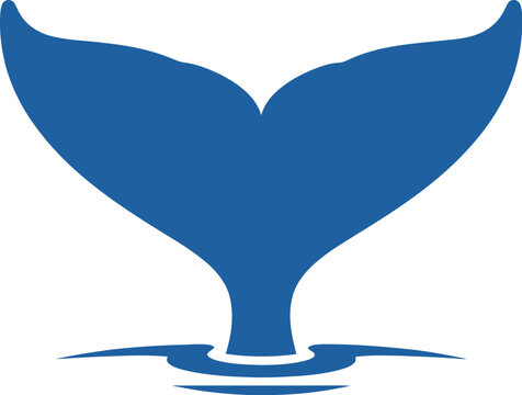 whale tail vector
