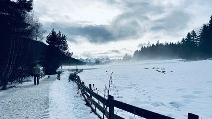 Mann und sein Lagotto Romagnolo Hund wandern bei Seefeld in Tirol