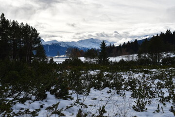 Sch&ouml;ne Landschaft bei Seefeld in Tirol