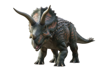 Triceratops Standing on White Background