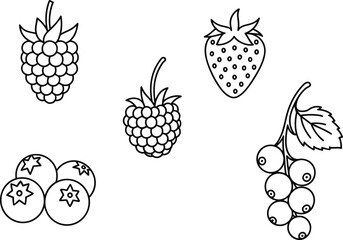 Berry fruit icon set, strawberry, raspberry, blueberry, grape outline illustration, simple line art, minimal fruit graphics, healthy food symbols3
