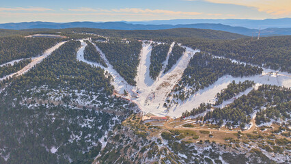 Aerial view of snowy ski slope in pine forest