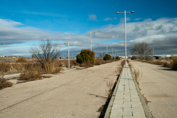 Abandoned Road with Overgrown Vegetation and Streetlights