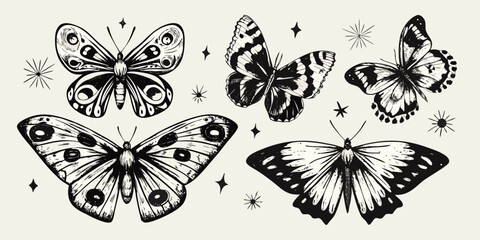 Vintage illustration of detailed black and white butterflies with sparkling elements