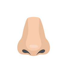 Simple Human Nose Icon, body part