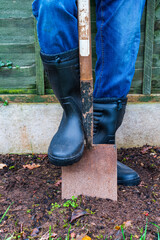 Wellington boot on a garden spade digging in the soil, gardening concept, Vertical orientation