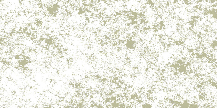 Green grass texture backgrounds feature a natural macro pattern and rough organic surface that creates a lush nature backdrop with a stone-like grunge wallpaper design for a textured closeup