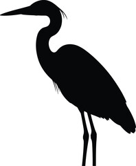 Silhouette of a heron standing against a white background