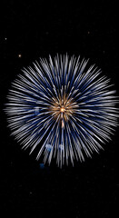 Fototapeta premium Brilliant burst of white and blue firework against a black sky with small stars, representing celebration, event, or festive occasion