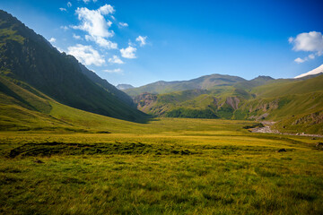 Snow-capped mountain and green valley under clear blue sky