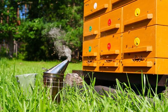 A beekeeping scene with a bee smoker emitting smoke in green grass near stacked beehives. Bees fly around, capturing the essence of apiculture and summer honey production. - Powered by Adobe