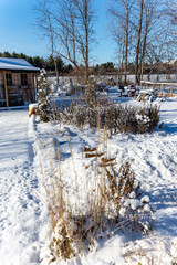 garden in the winter months