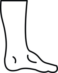 Human leg and foot outline for anatomy and health concepts