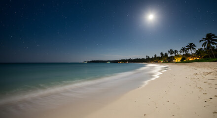Tropical Beach at Night with Starry Sky and Moonlight