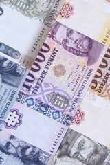 Hungarian forint, cash, currency of Hungary, banknotes for financial transactions. Hungarian forint