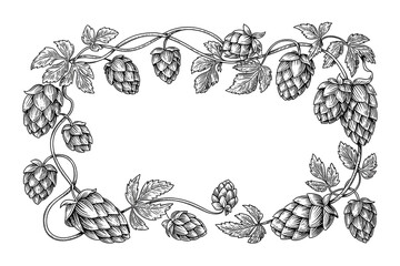Fototapeta premium Hop plant border frame on white background