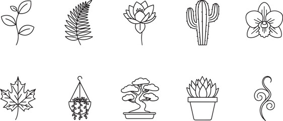 Plants leaves and flowers outline icons set. Botanical elements for nature and decor design
