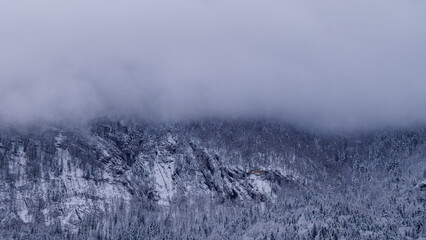 Minimalist Winter Background with Snowy Forest and Heavy Fog.