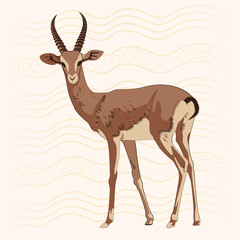 Antelope illustration