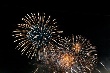 Colorful fireworks in the night sky