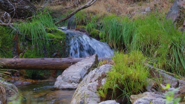 R&iacute;o cristalino fluyendo entre monta&ntilde;as y vegetaci&oacute;n