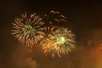 Colorful fireworks explosion in the night sky