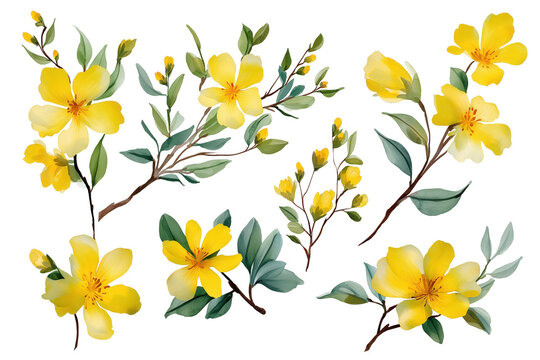 Sunny Hand Drawn Watercolor Yellow Flower Branches Set. An elegant collection of various blooming yellow flowers on branches with green leaves for spring designs. - Powered by Adobe