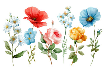 Obraz premium Hand Drawn Watercolor Summer Garden Flowers Collection. A beautiful set of classic flowers including a red poppy, yellow and pink roses, and blue and white daisies.