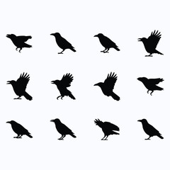 Collection of black silhouettes of crows in various poses and movements