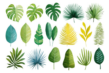 Fototapeta premium Diverse Hand Drawn Watercolor Set of Tropical and Botanical Leaves