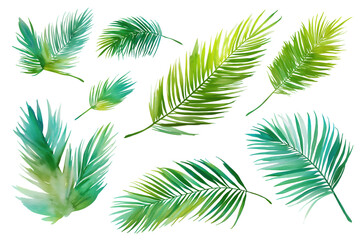 Lush and Vibrant Hand Drawn Watercolor Green Palm Fronds Set