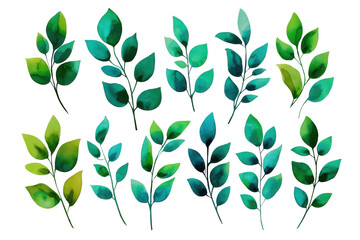 Fototapeta premium Green Foliage Elements Set Hand Drawn Watercolor Flowers Illustration